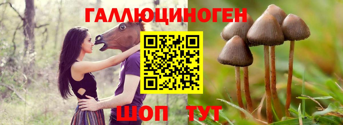Галлюциногенные грибы MAGIC MUSHROOMS Невинномысск
